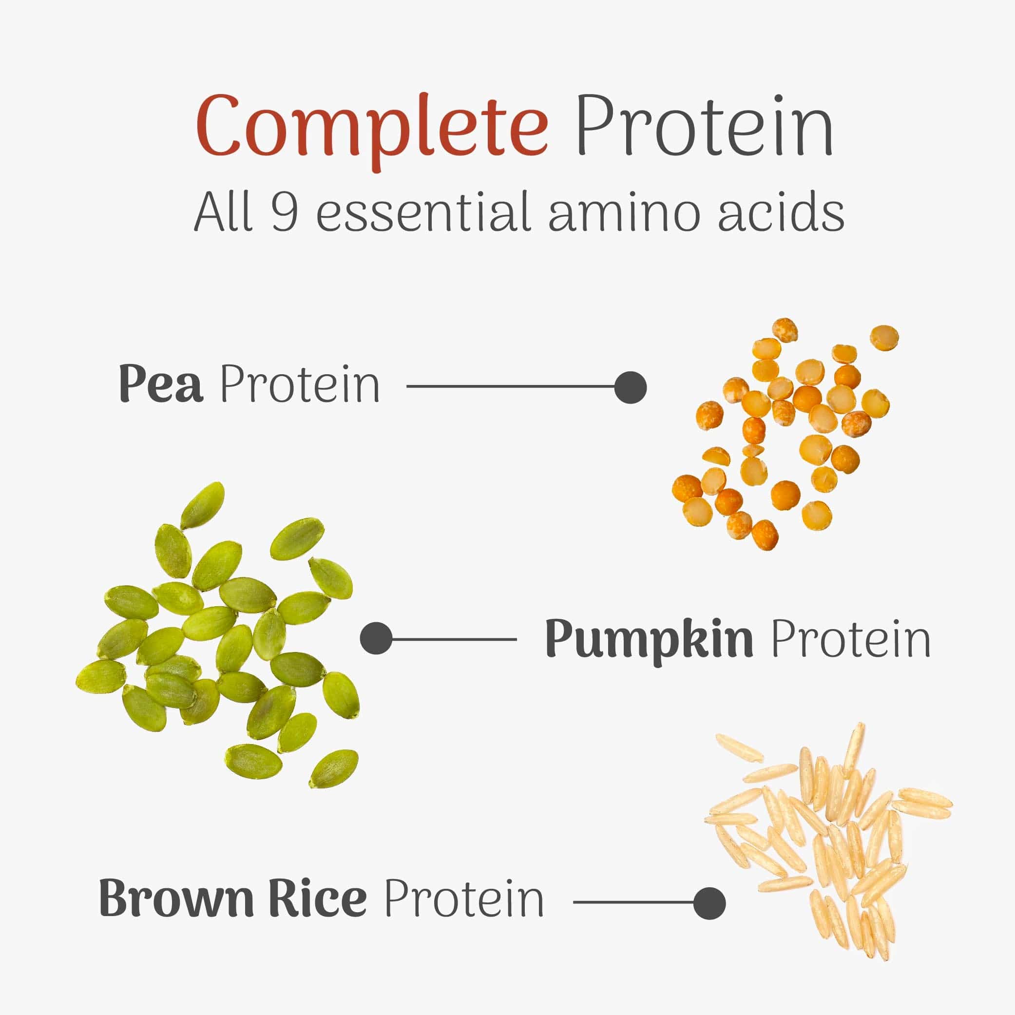Cappo High Protein Powder - Image 5