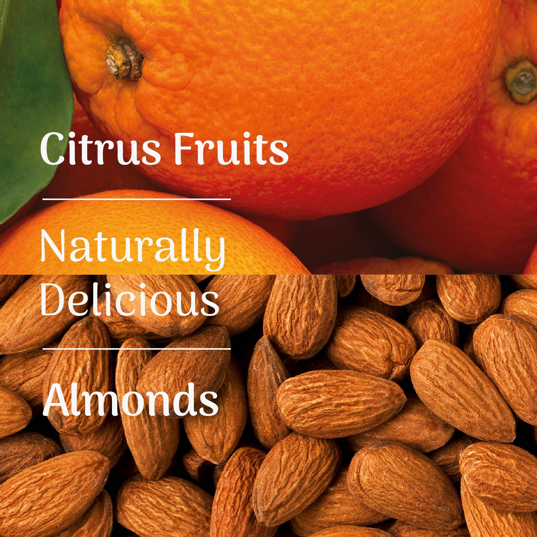 Classico Natural Energy Bar - Image 4