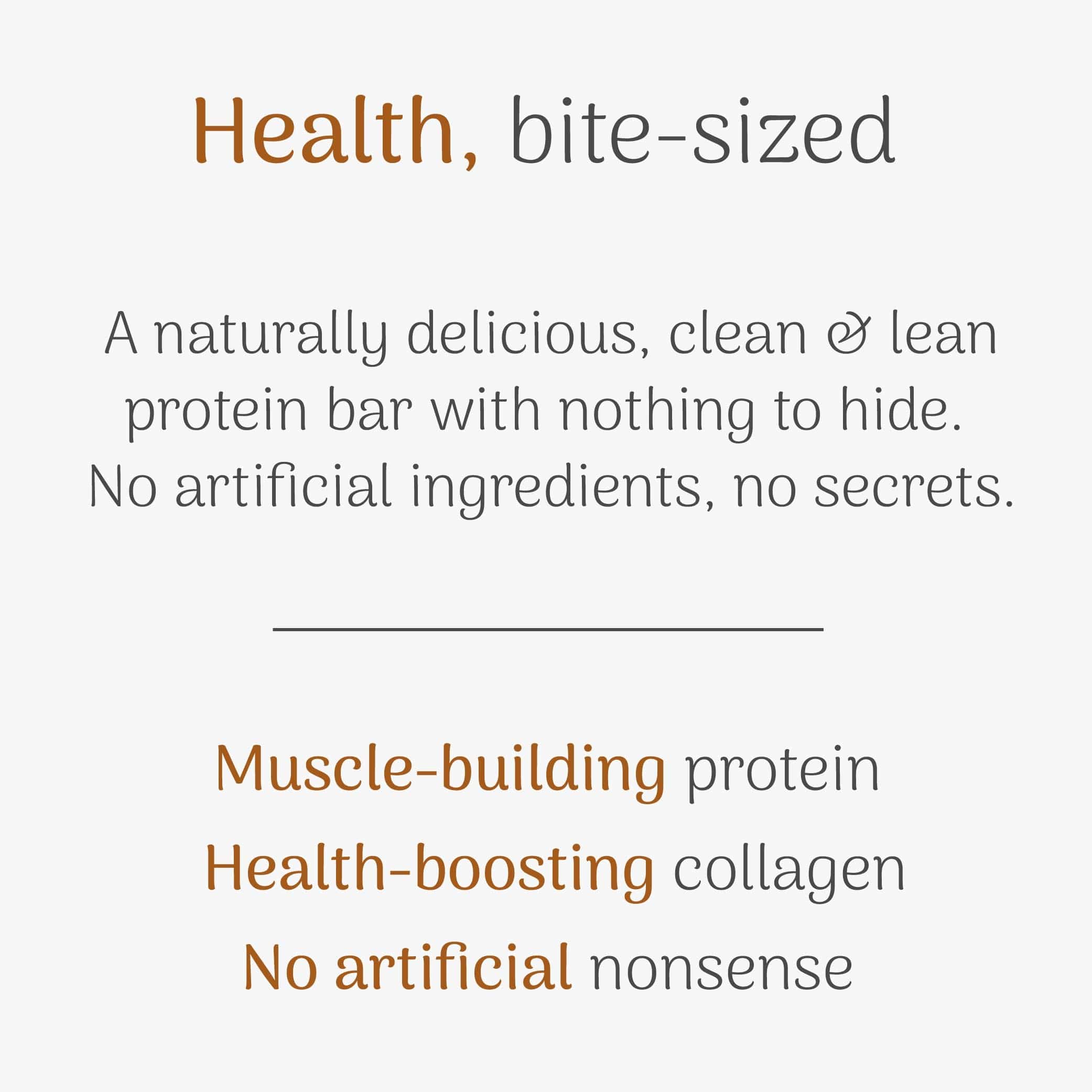 Cocoa & Stem Ginger High Protein Crunch Bar - Image 3