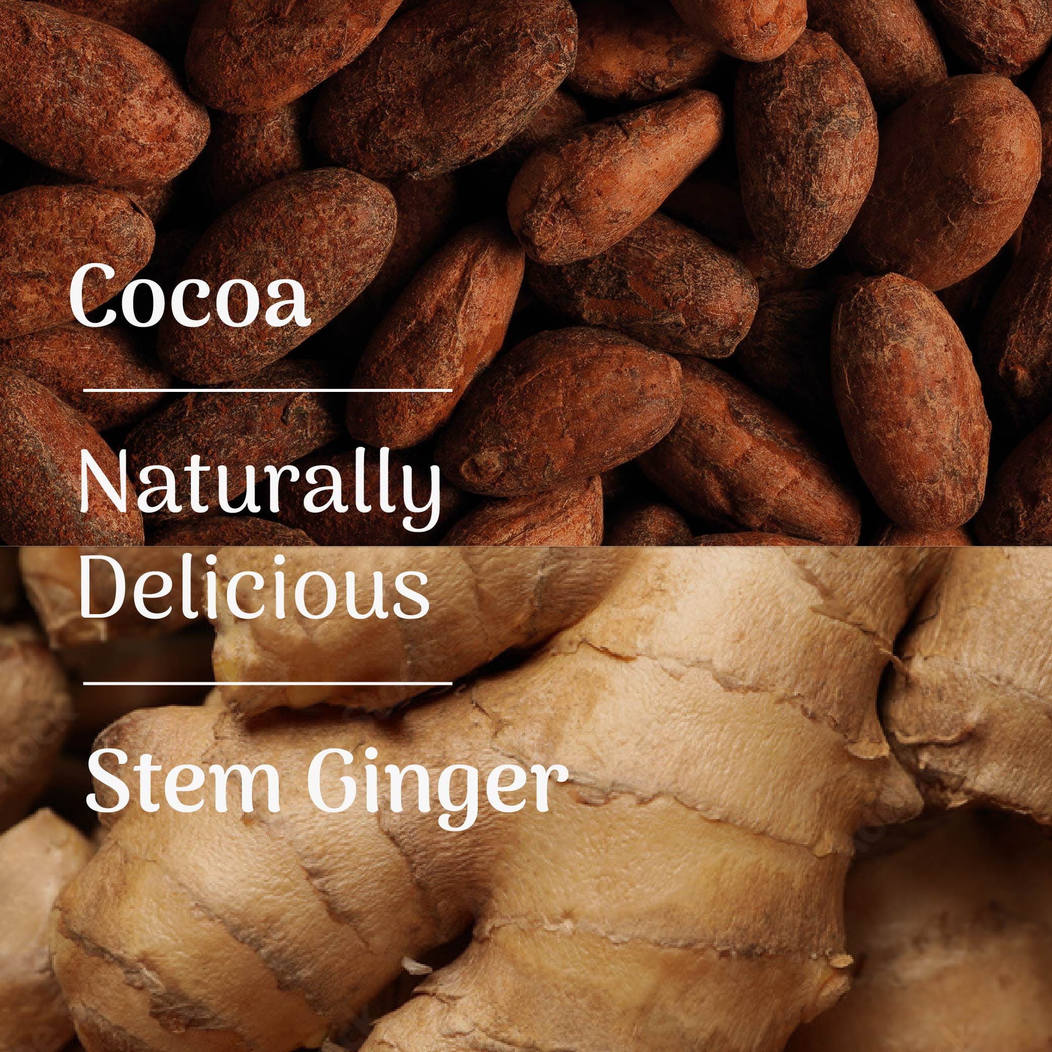 Cocoa & Stem Ginger High Protein Crunch Bar - Image 4