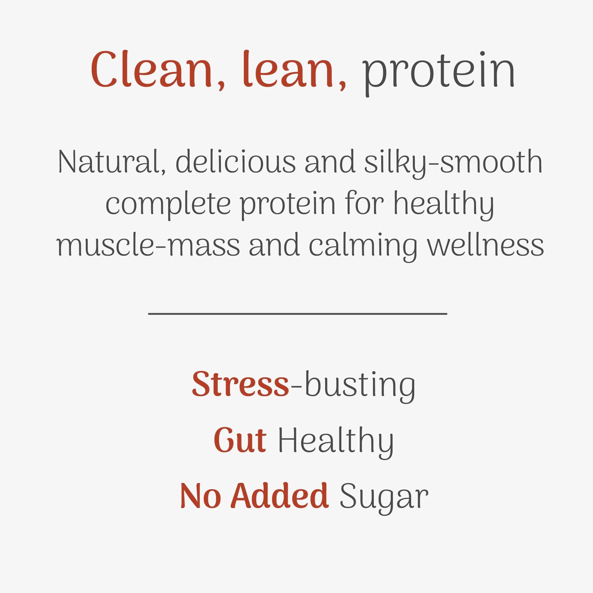 Molto High Protein Powder - Image 3