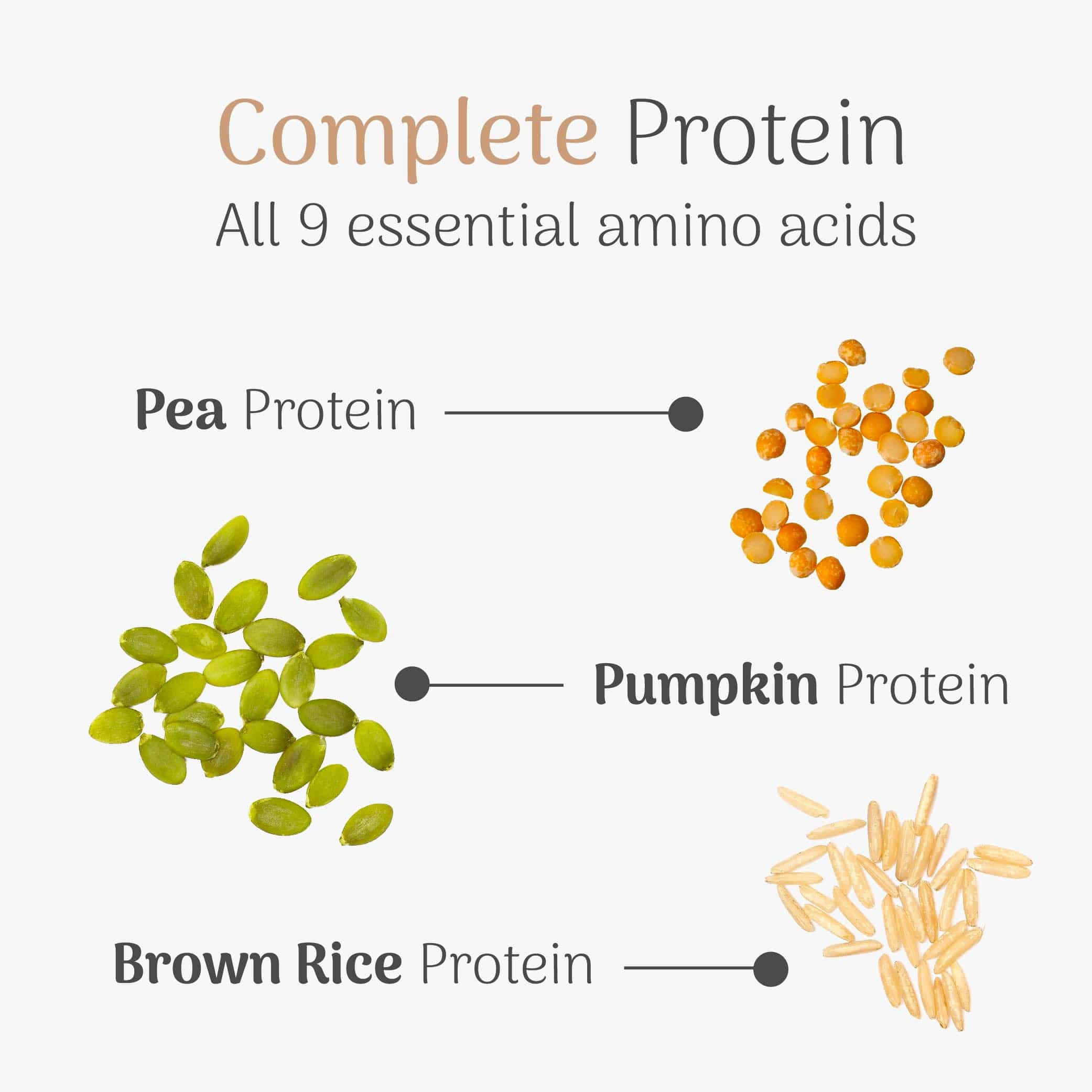 Molto High Protein Powder - Image 5