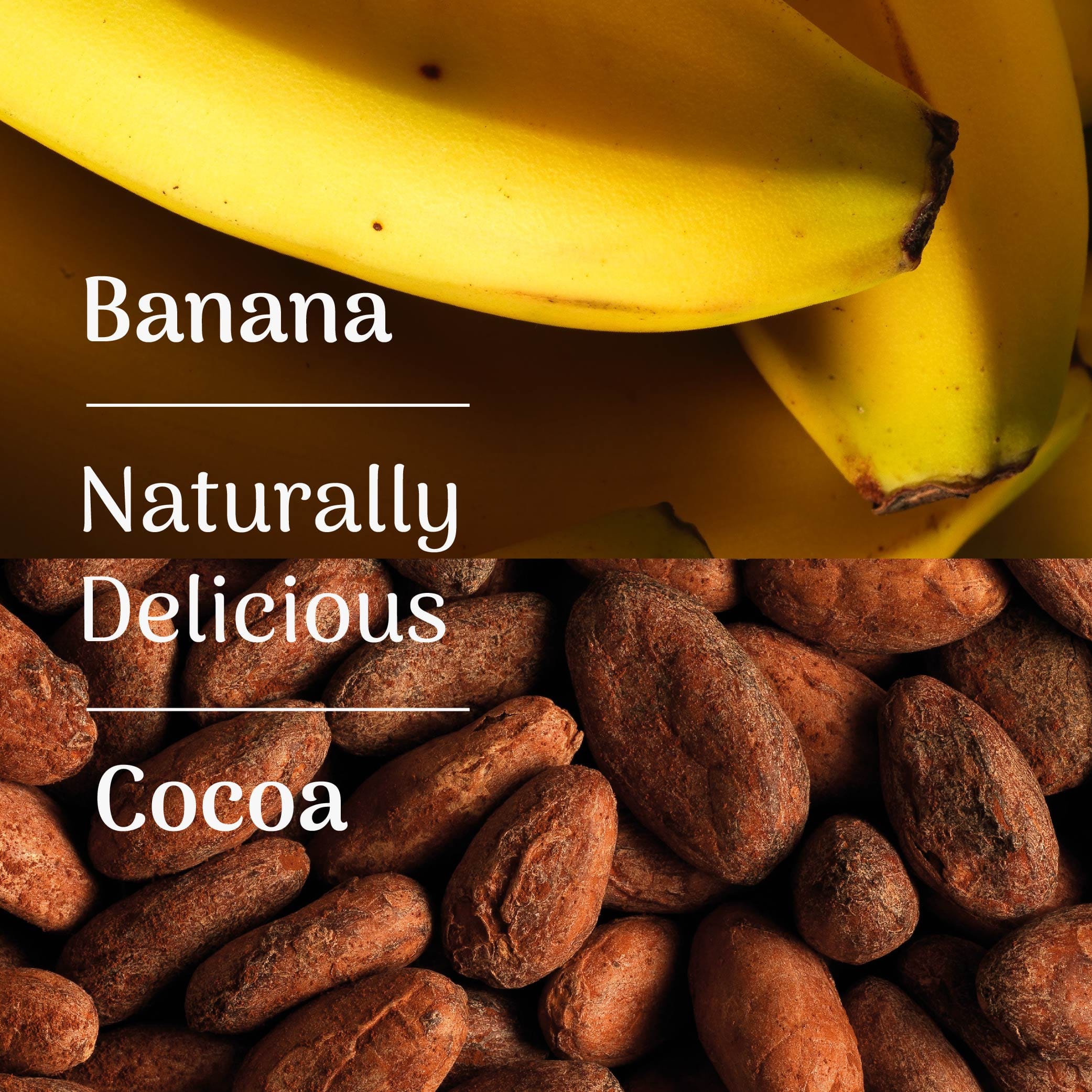 Nova Recovery Protein Powder - Image 4