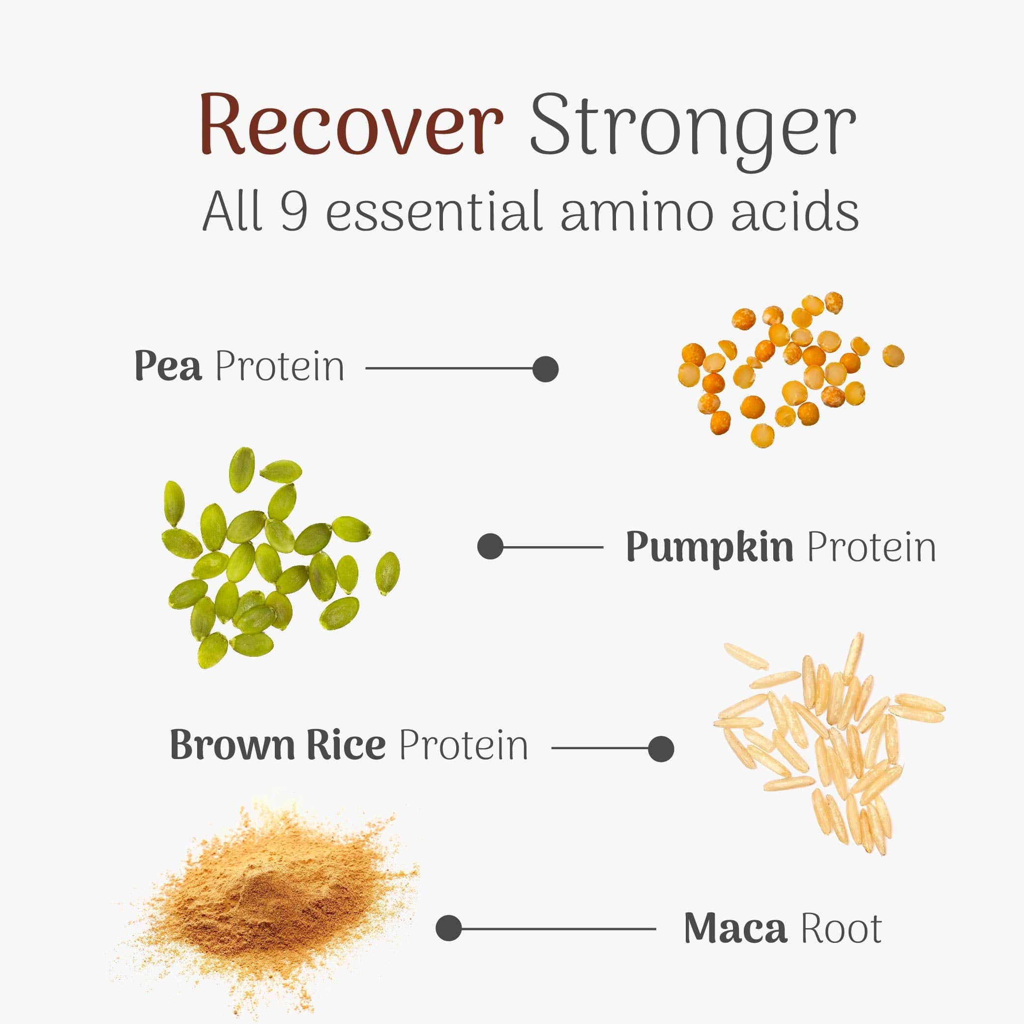 Nova Recovery Protein Powder - Image 5