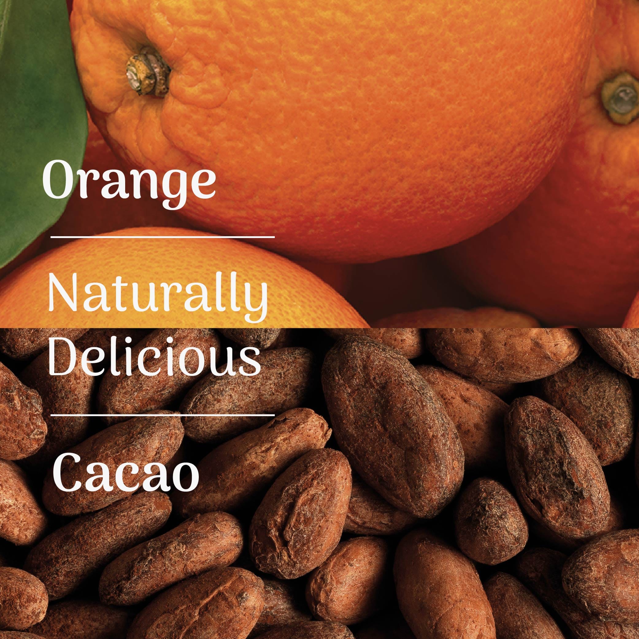 Orange & Cacao Oat Snack Bar - Image 4