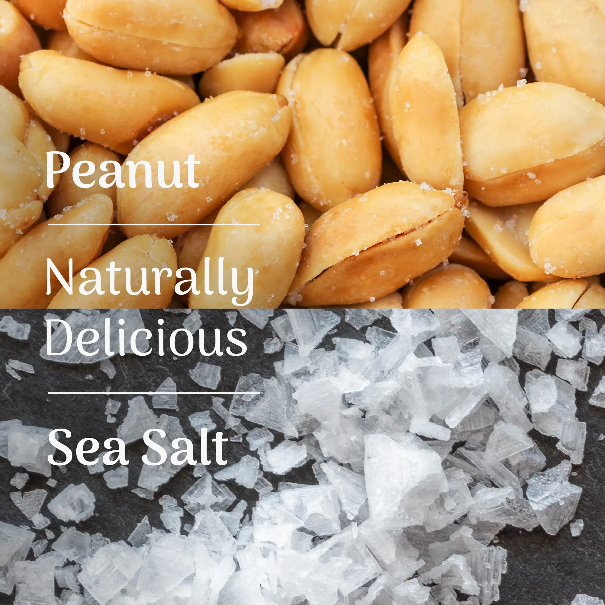 Peanut & Sea Salt High Protein Crunch Bar - Image 4