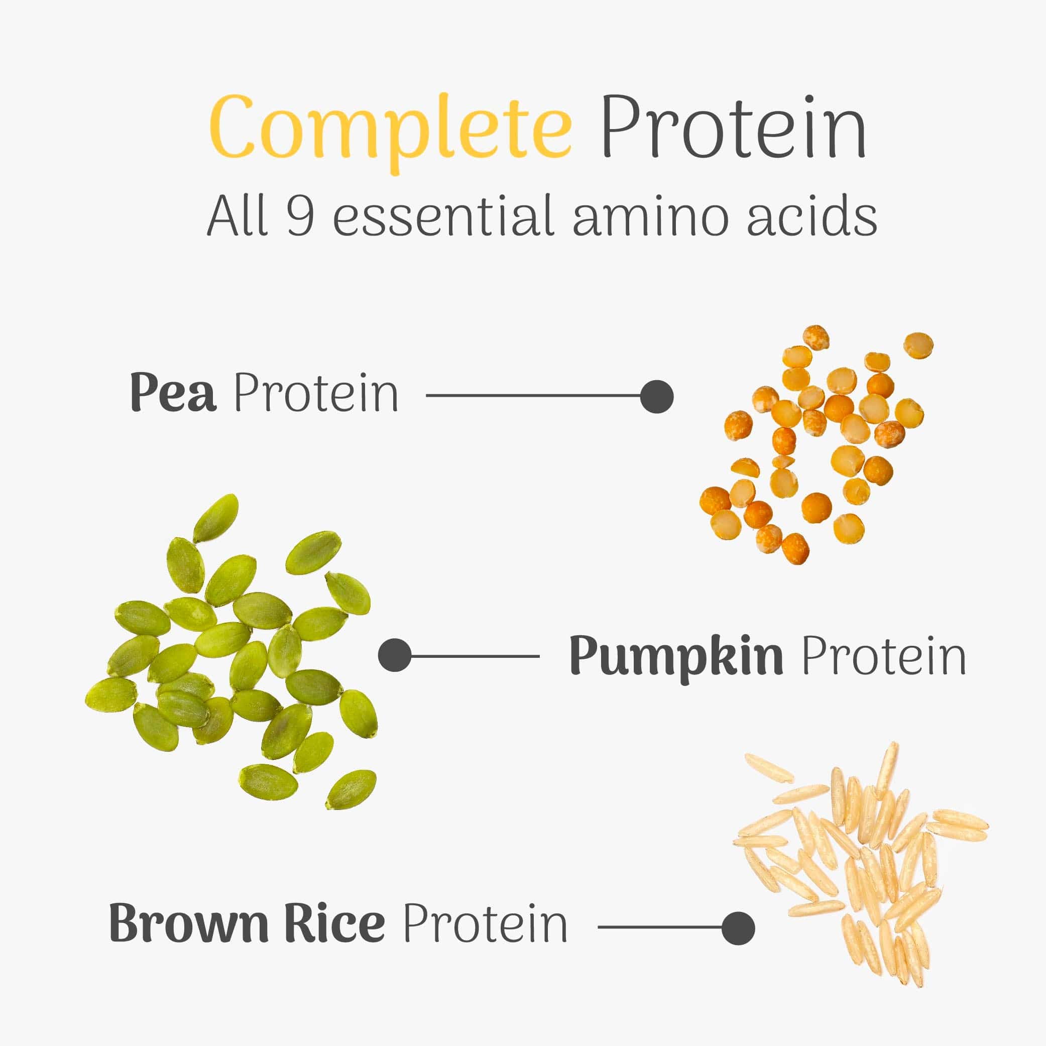 Troppo High Protein Powder - Image 5